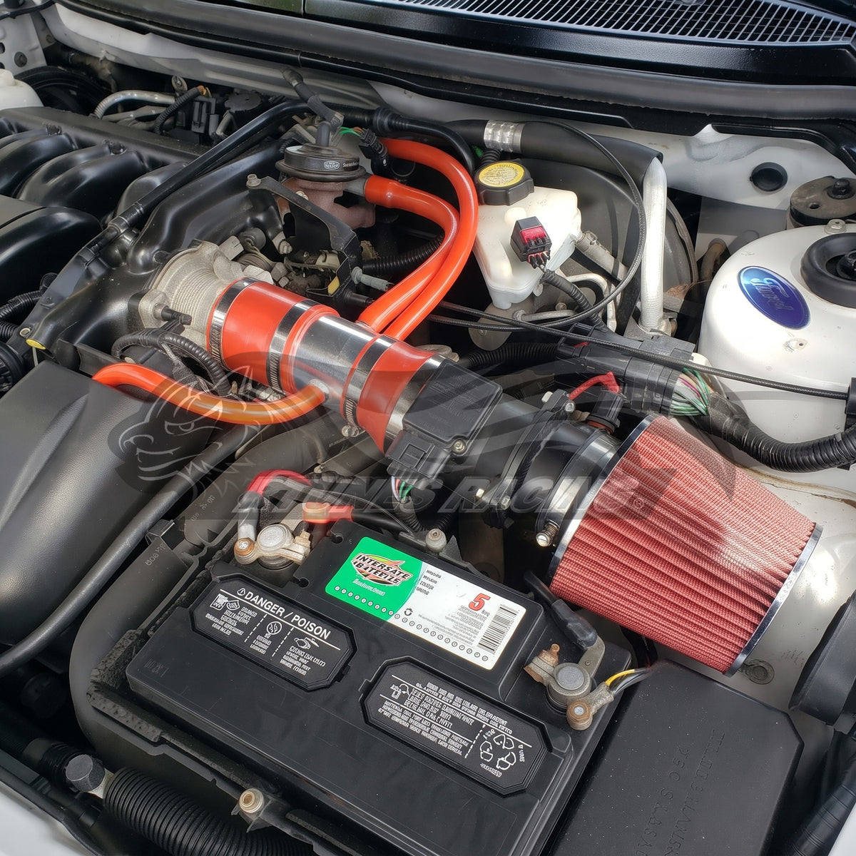 1998-2002 Mercury Cougar, 1995-2000 Ford Contour, 1998-2000 Mercury Mystique 2.5L V6 Short Ram Air Intake Kit | Rtunes Racing | SI-FD-03